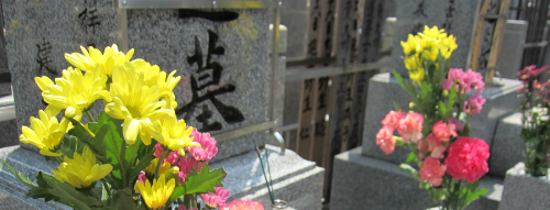 ファミリーロマンス,代行,代理出席,代行出席,代わり,東京,千葉,神奈川,埼玉,茨城,大阪,関東,関西,名古屋,中部,神戸,兵庫,京都,福岡,九州,博多,奈良