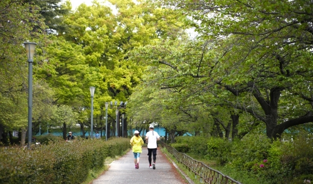 ファミリーロマンス,代行,代理出席,代行出席,マラソンはげまし隊,マラソン,同行,はげまし隊,励まし隊,励ましてほしい,ダイエット,ジョギング,ランニング,続かない,辛い,痩せたい