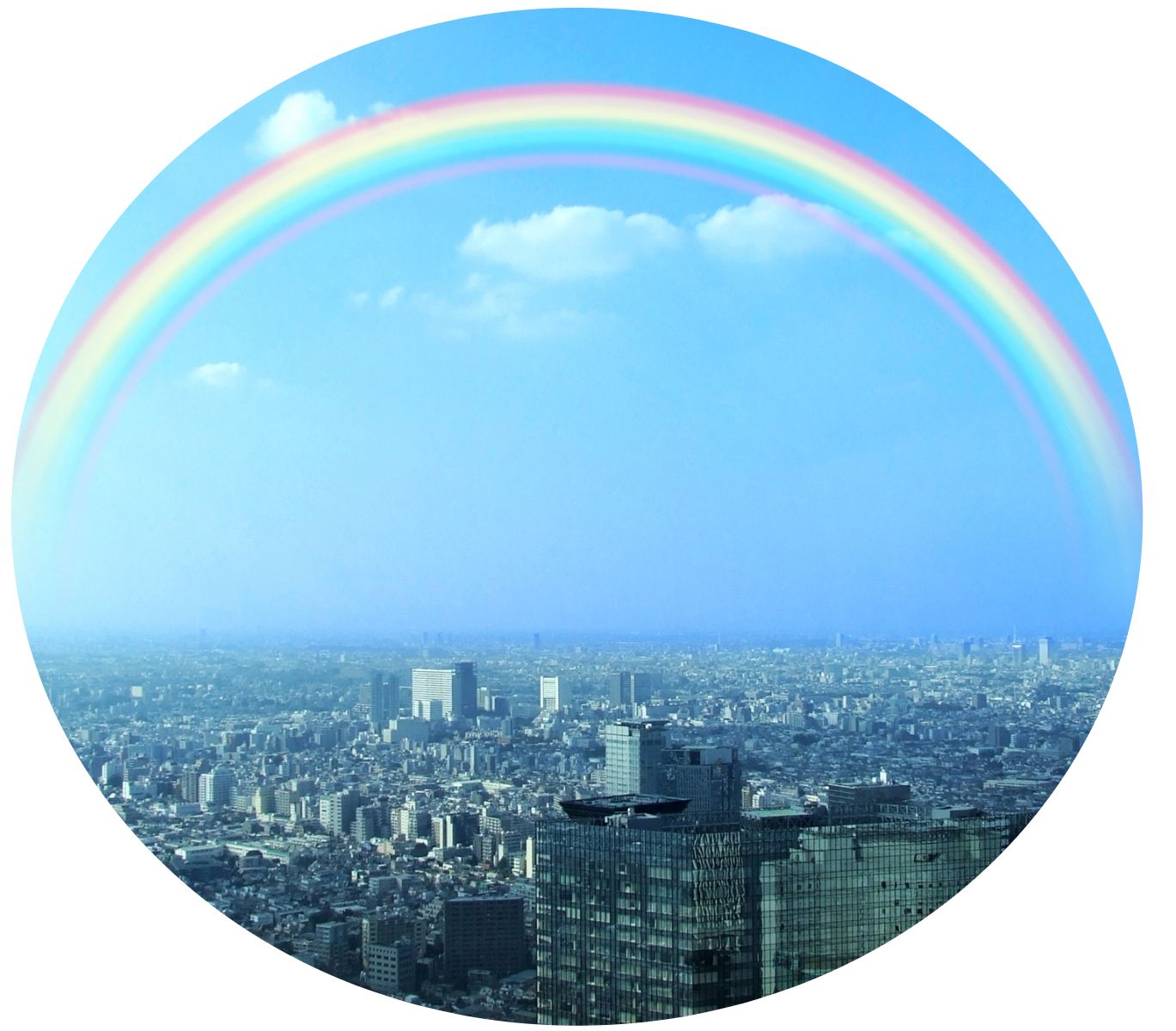 ファミリーロマンス,会社情報,運営会社,代理出席,代行,石井裕一